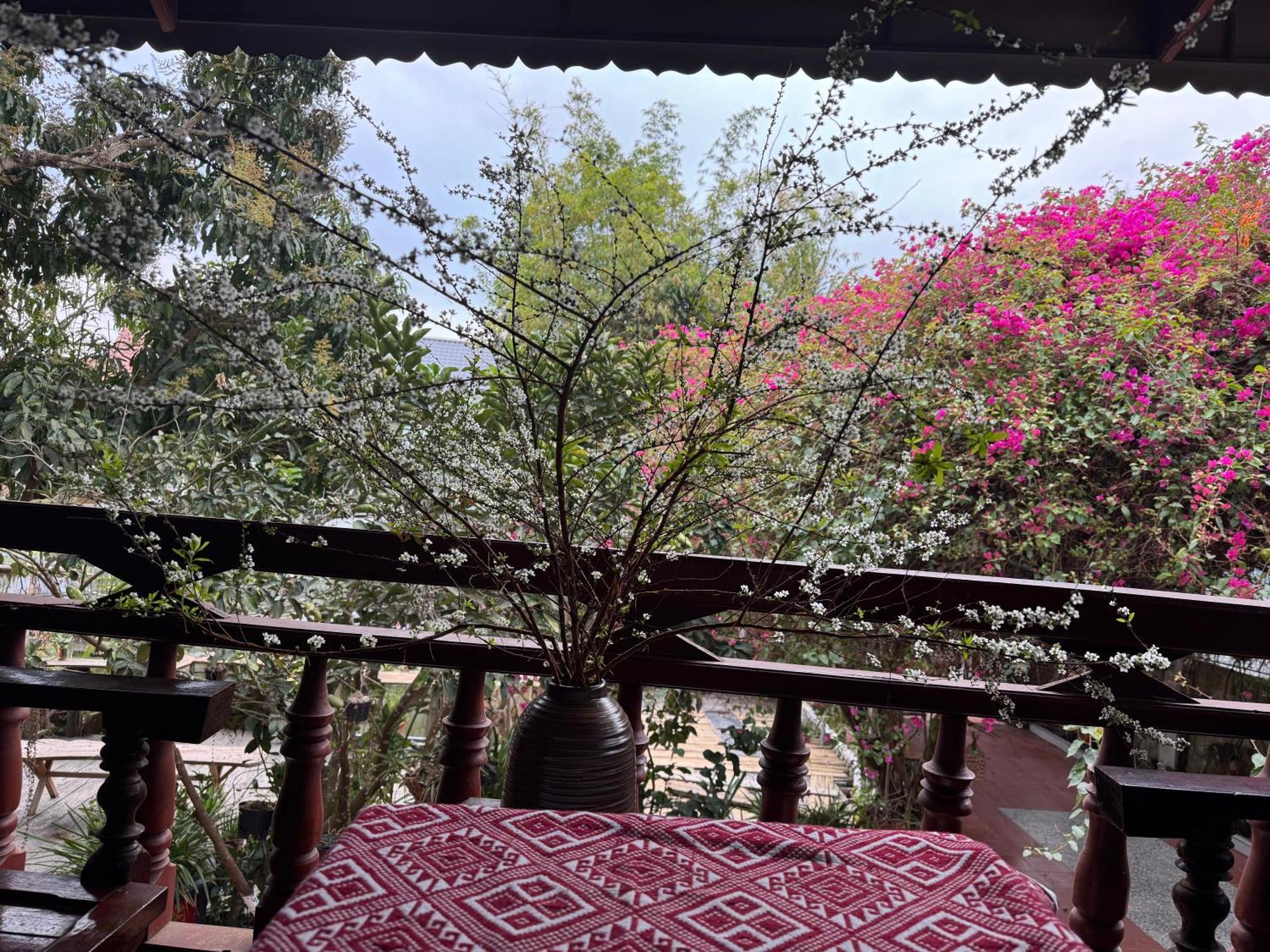 Minh Ngoc Homestay Dien Bien Phu Ban Hin Lom 외부 사진